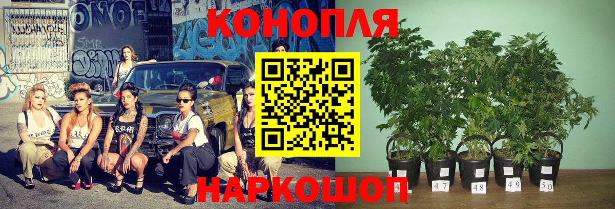 Канабис индика Нефтеюганск